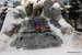 Ski_Dubai - Bild 57