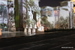 Dubai_Light_and_Sound_Show - Bild 30