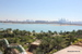 The_Palm - Bild 15