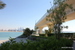 The_Palm - Bild 25