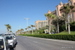 The_Palm - Bild 31