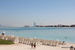 The_Palm - Bild 8